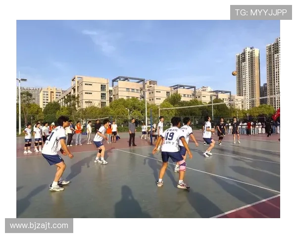 南京排球队的蜕变与崛起探索联赛新篇章的奋斗历程