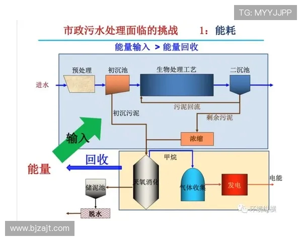 大田地铁与江陵发展对比探讨城市交通建设的未来方向与挑战